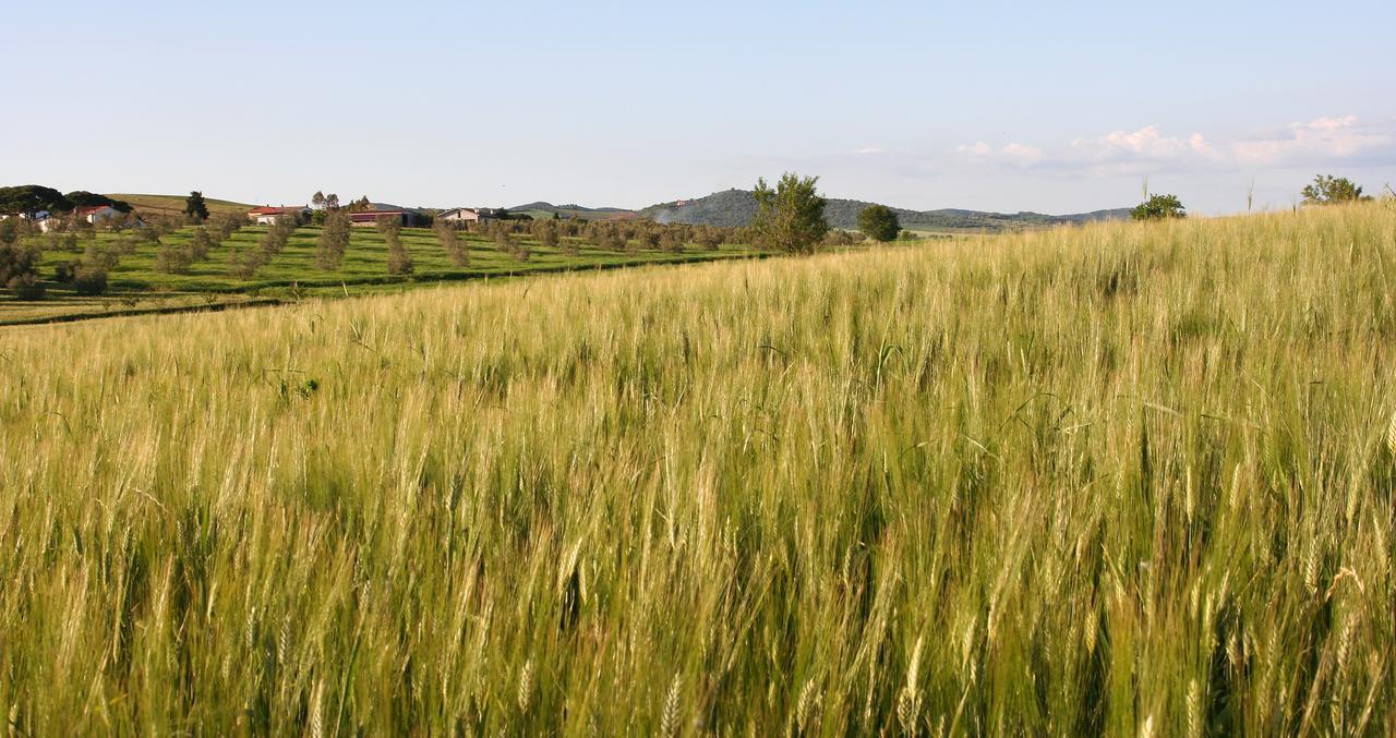 Agriturismo Il Forasacco Гросето Екстериор снимка